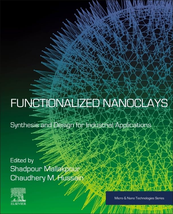 Functionalized Nanoclays: Synthesis and Design for Industrial Applications (Micro and Nano Technologies)