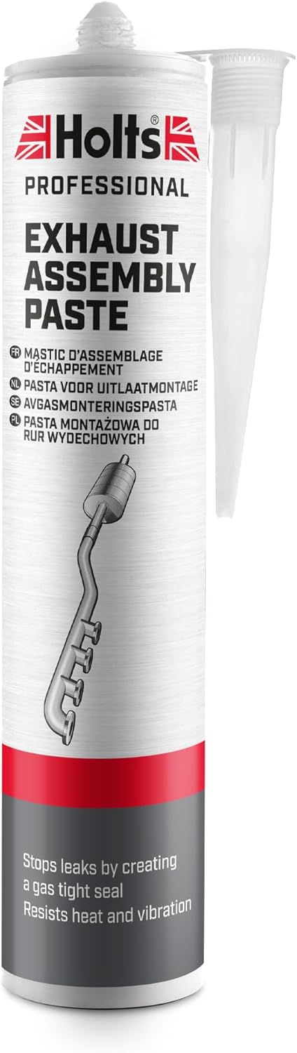 Holts LOYPRO29A Pro Cartridge Professional Exhaust Assembly Paste, 300 ml