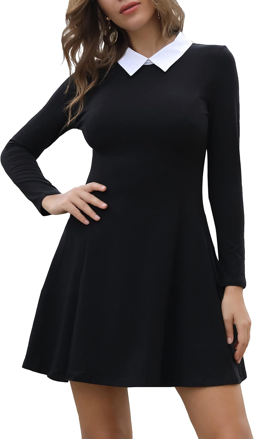 Aphratti Women's Long Sleeve Fall Dresses 2024 Casual Peter Pan Collar A Line Fit and Flare Skater Goth Dress