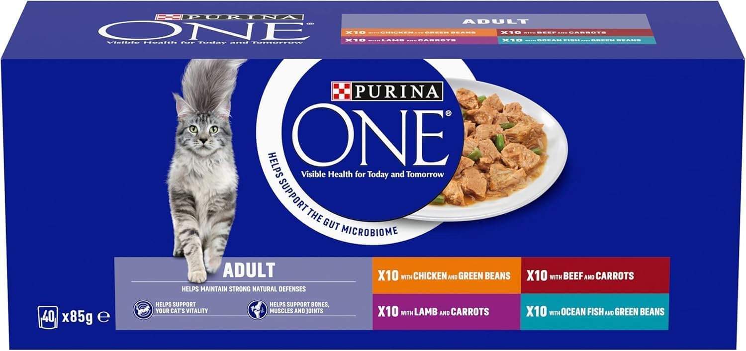 PURINA ONE Adult Cat Food Mini Fillets in Gravy 40 x 85g
