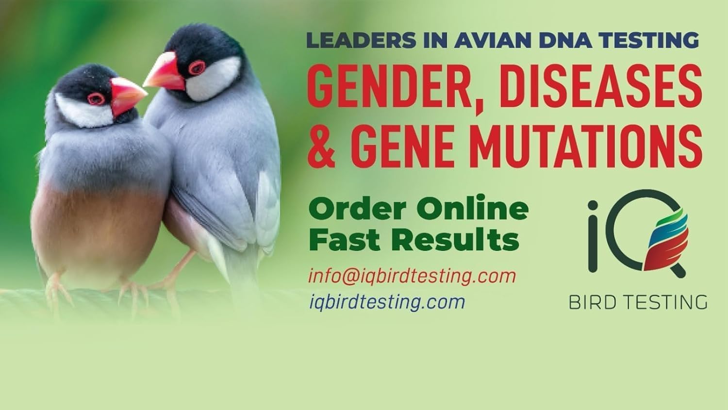 Birds Test Kit - Trusted Florida Lab Service