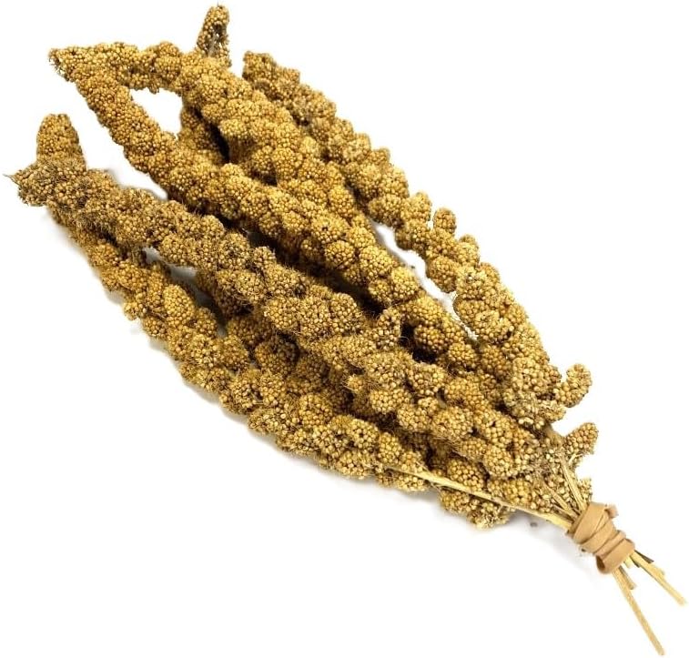 Maltbys' Stores 200g (approx. 5-8 Pieces) Millet Sprays Premium Cage Bird Food Seed