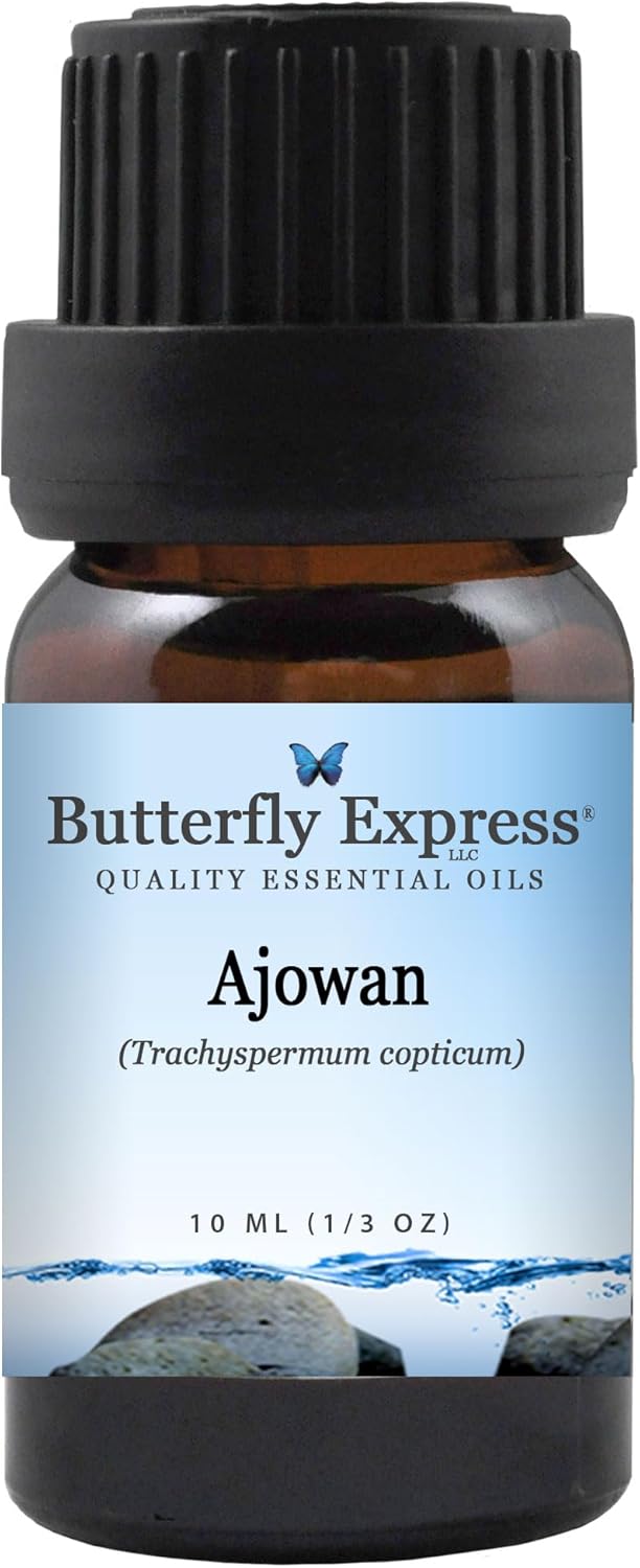 Ajowan Essential Oil 10ml - 100% Pure by Butterfly Express