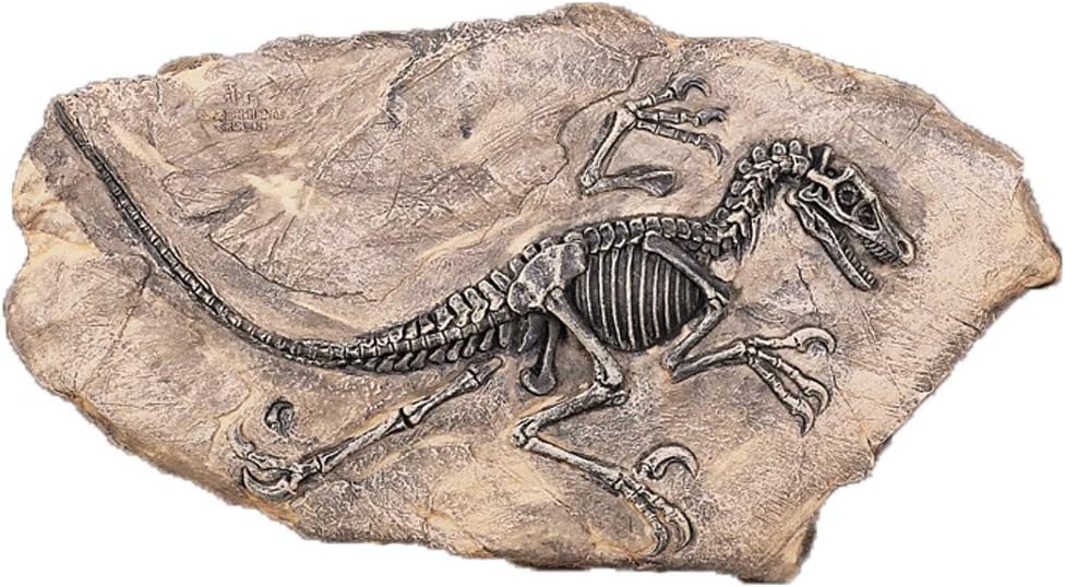 VOANZO Resin Dinosaur Fossil Statue Model Simulated Skeleton Home Office Display Decorative Craft Decoration