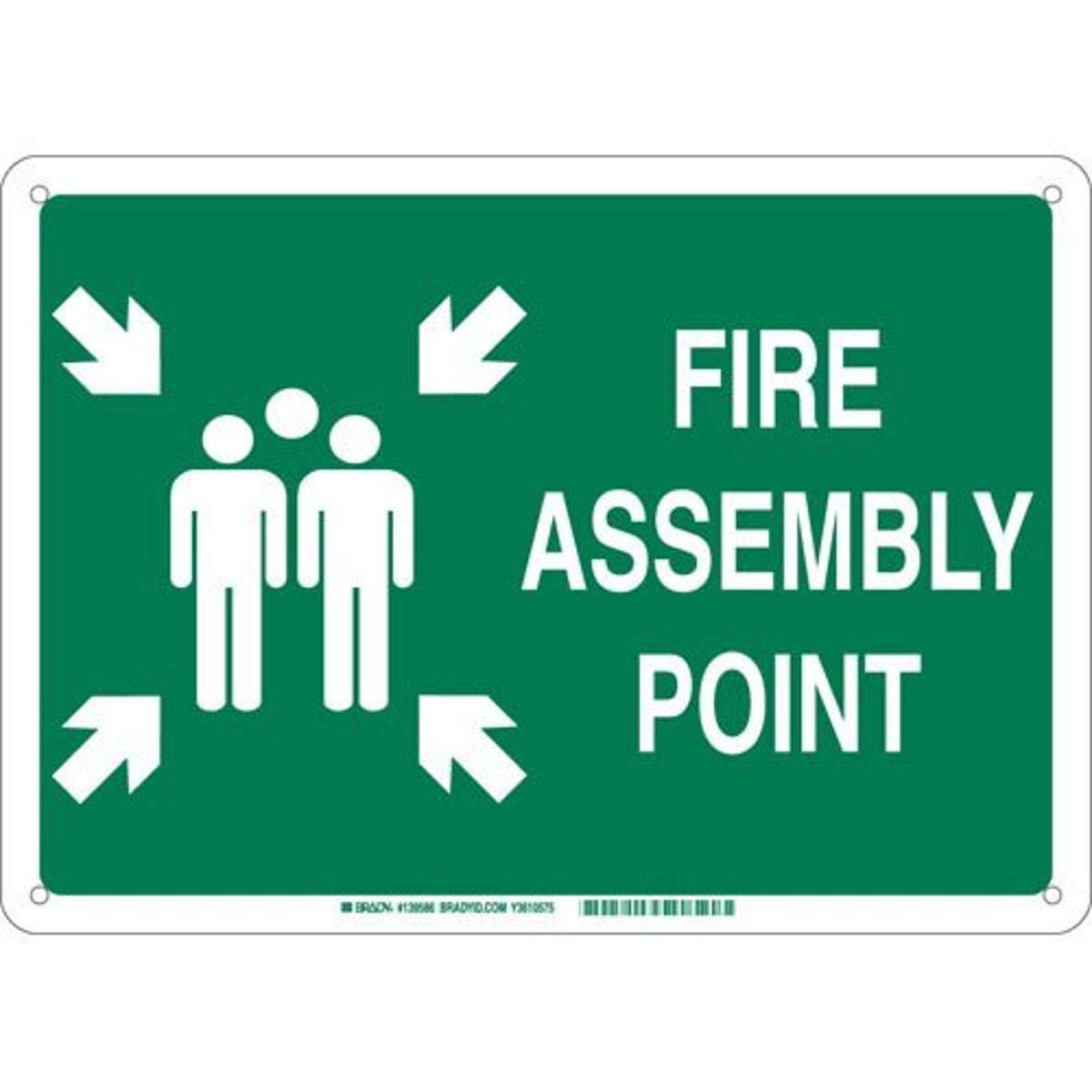 Brady 139587 Fiberglass "FIRE Assembly Point" Sign, Text and Symbol, 14" H x 20" W, White on Green