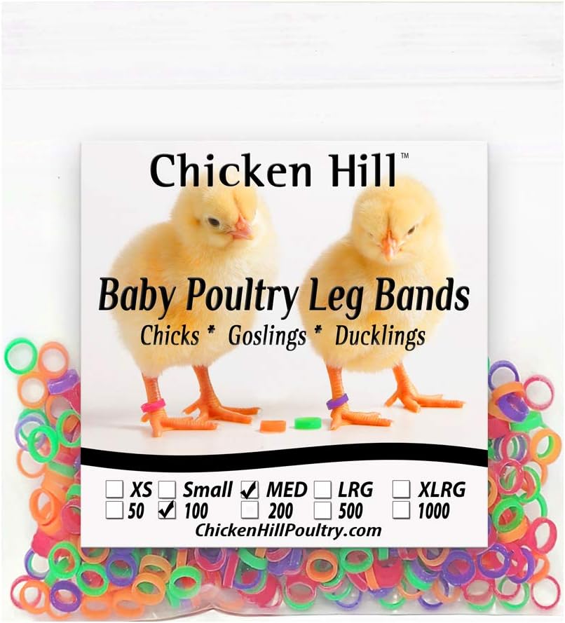 Baby Poultry Leg Bands 1/4" Medium Chick (100)