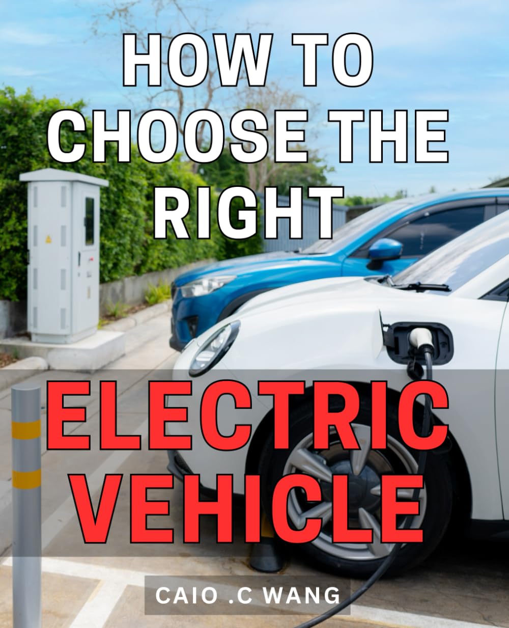 How To Choose The Right Electric Vehicle: Your Ultimate Guide to Selecting the Perfect Electric Ride for Environmentally Conscious Commuters and ... - A Practical Gift for Aspiring EV Owners.