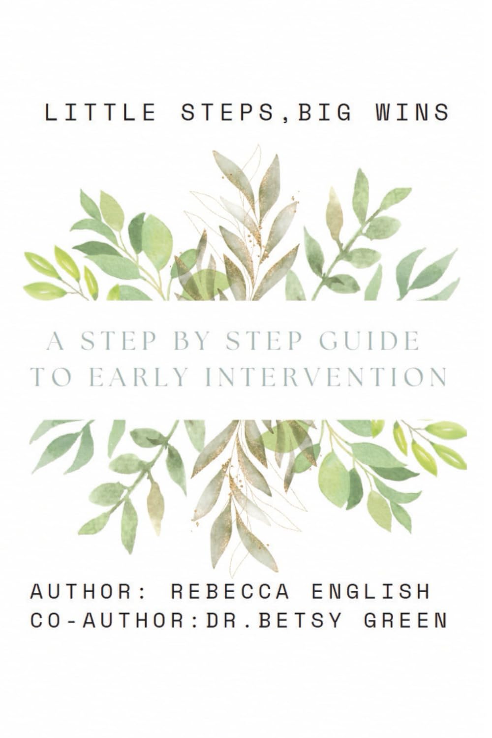 Little Steps, Big Wins A Step By Step Guide to Early Intervention
