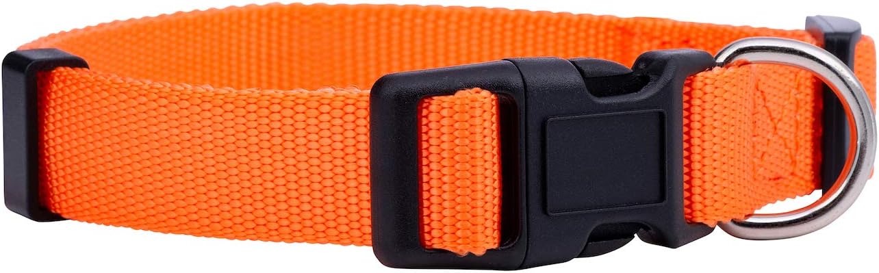 Native Pup Basic Nylon Dog Collar, Adjustable for Small, Medium, Large pet and Puppies Accessories, Cute Colors for Male, Female, boy, Girl, Puppy (Large, Orange)