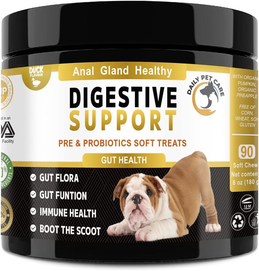 Digestive Support for Dogs 5BIL CFUs | Health Supplies For Dogs Digestion, Immunity, Gut Health, Diarrhoea, Constipation, Allergy and More | All Ages Breeds | Probiotics For Dogs Gut Health Care