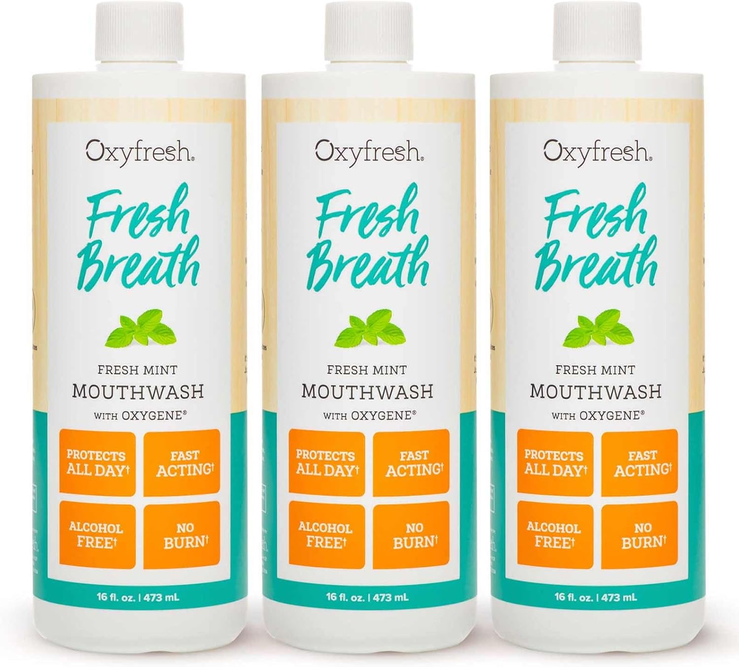 Oxyfresh Fresh Mint Flavored Mouthwash for Adults, Fresh Breath & Bad Breath Treatment – Dentist Recommended for Long - Lasting Fresher & Healthy Gums - Alcohol & Fluoride Free - 16 Fl Oz (Pack of 3)