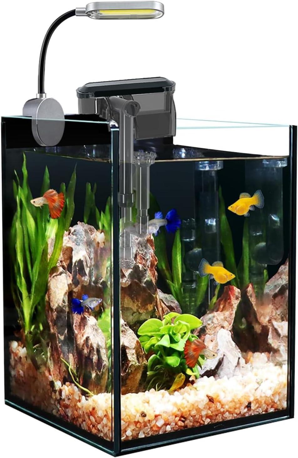 Craftsboys 5.5L Fish Tank Starter Kits, Nano Glass Aquarium with Filter, Led Light for Aquascape DIY Small Betta Fish Tank