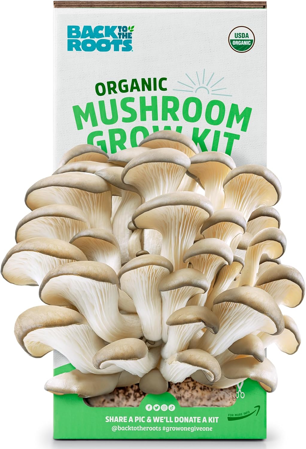 Back to the Roots Organic Oyster Mushroom Grow Kit, Harvest Gourmet Mushrooms In 10 Days