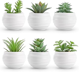 Der Rose Set of 6 Succulents Plants Artificial in Pots Small Fake Plants for Bedroom Aesthetic Living Room Office Shelf Bathroom Decor