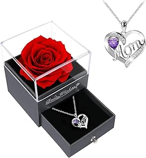 Preserved Rose Birthday Gifts for Women,Red Preserved Flowers Christmas Rose Gifts for Women,Fresh Real Rose Flower with Necklace Mom,Grandma,Wife Gifts for Christmas,Thanksgiving