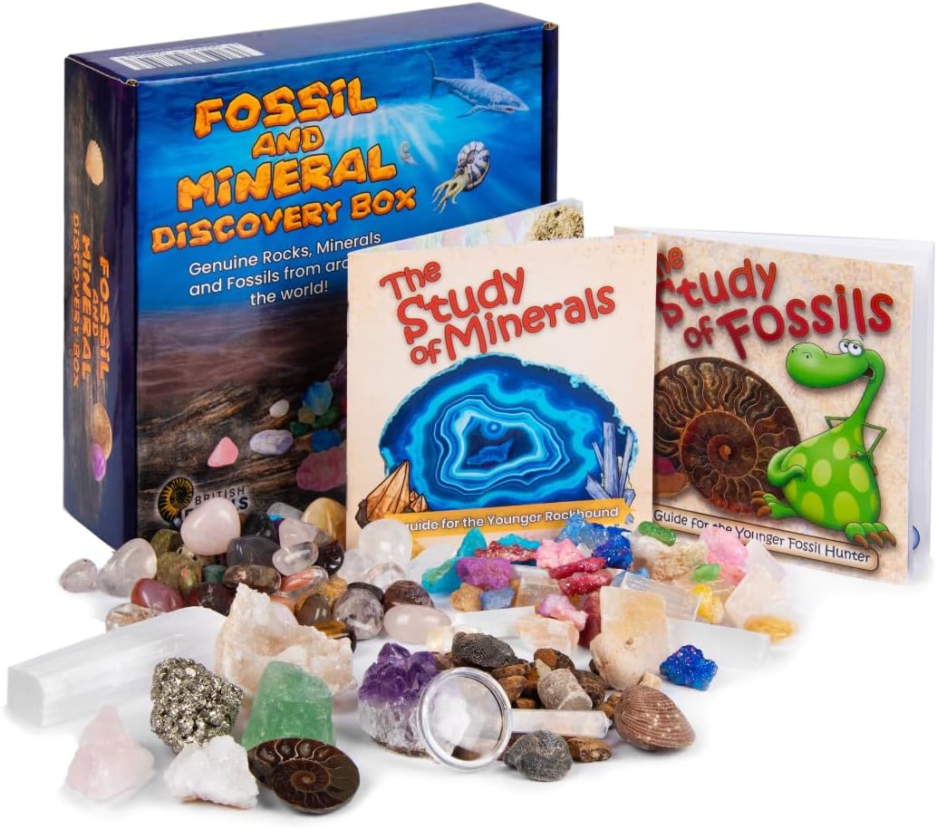 Fossil and Mineral Discovery Box - Hand - Selected Genuine Rocks, Minerals and Fossils from around the World!