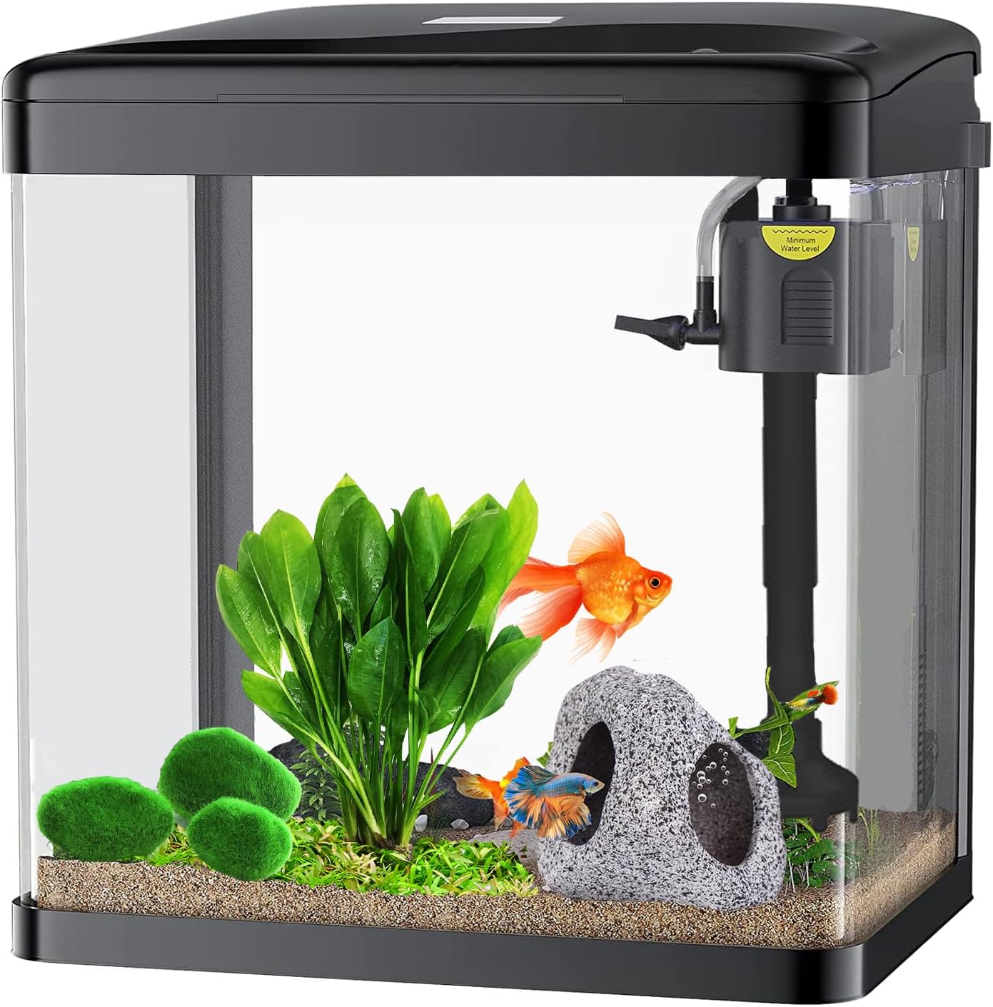 Craftsboys 15L Fish Tank with Filter and Light, Rectangular Aquarium Tank with LED Light, Tray Filter System, Curved Glass Front (Black Tank)