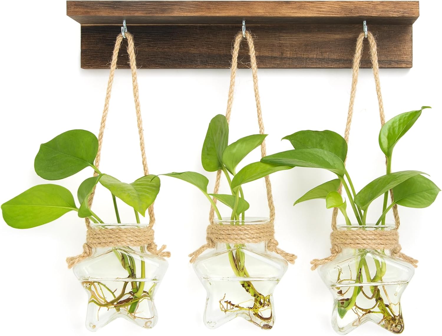 XXXFLOWER Wall Hanging Propagation Station with 3 Star-Shaped Glass Vase, Plants Propagation Stations for Hydroponics Living Room Office Decoration,Unique Gardening Gifts for Plant Lover