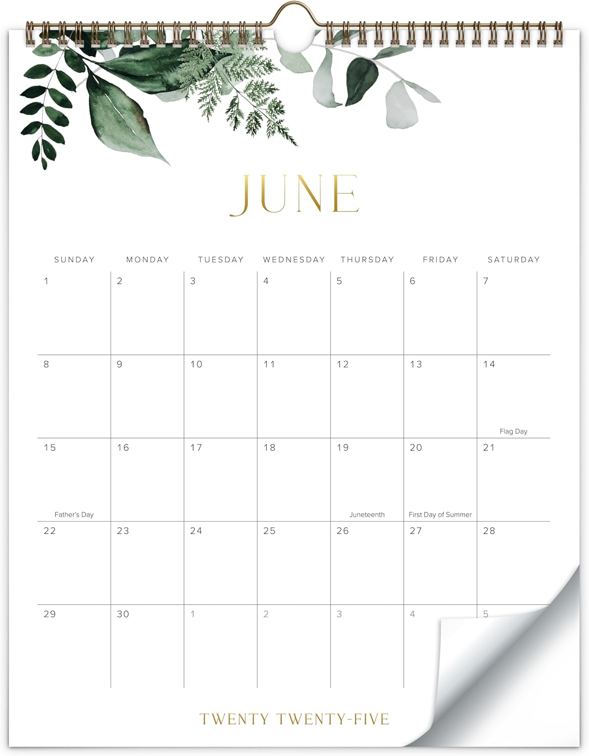 Aesthetic 2025-2026 Wall Calendar - Runs from June 2025 Until December 2026 - The Perfect Large Modern Calendar Planner for Easy Organizing