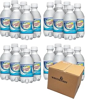 Canada Dry Club Soda, 10 fl oz, 24 bottles