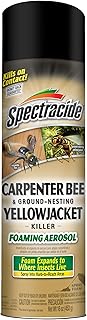 Spectracide Carpenter Bee and Ground Nesting Yellow Jacket Foaming Aerosol for Insects, 16-Ounce