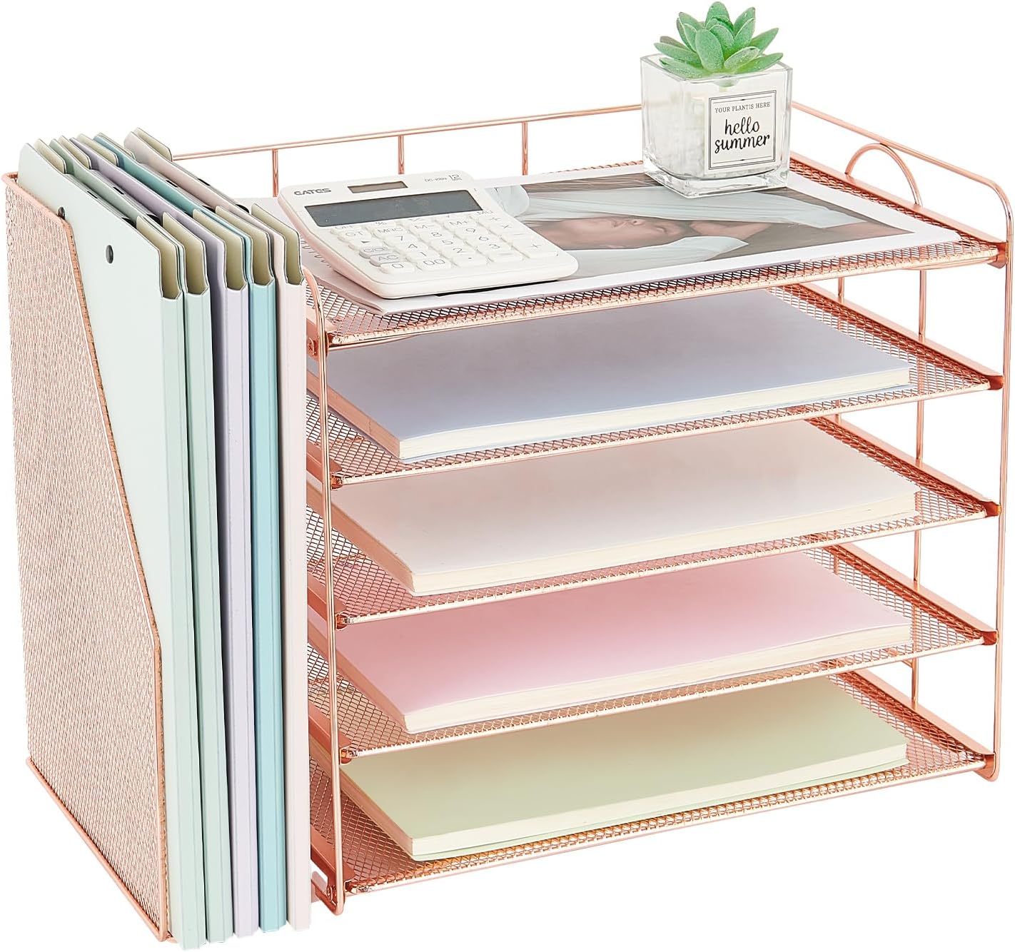 OPNICE Desk Organizers with Magazine File Holder, 5-Tier Office Organization Paper Letter Tray, File Organizer Desk Accessories & Workspace Organizers for Office Supplies (Rose)
