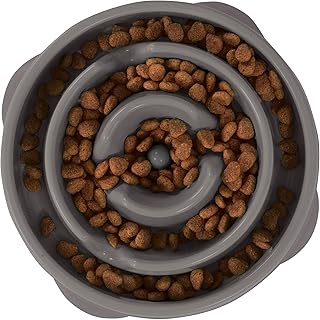 Outward Hound Fun Feeder Slo Bowl, Medium Slow Feeder Dog Bowl, 2 Cups, Gray