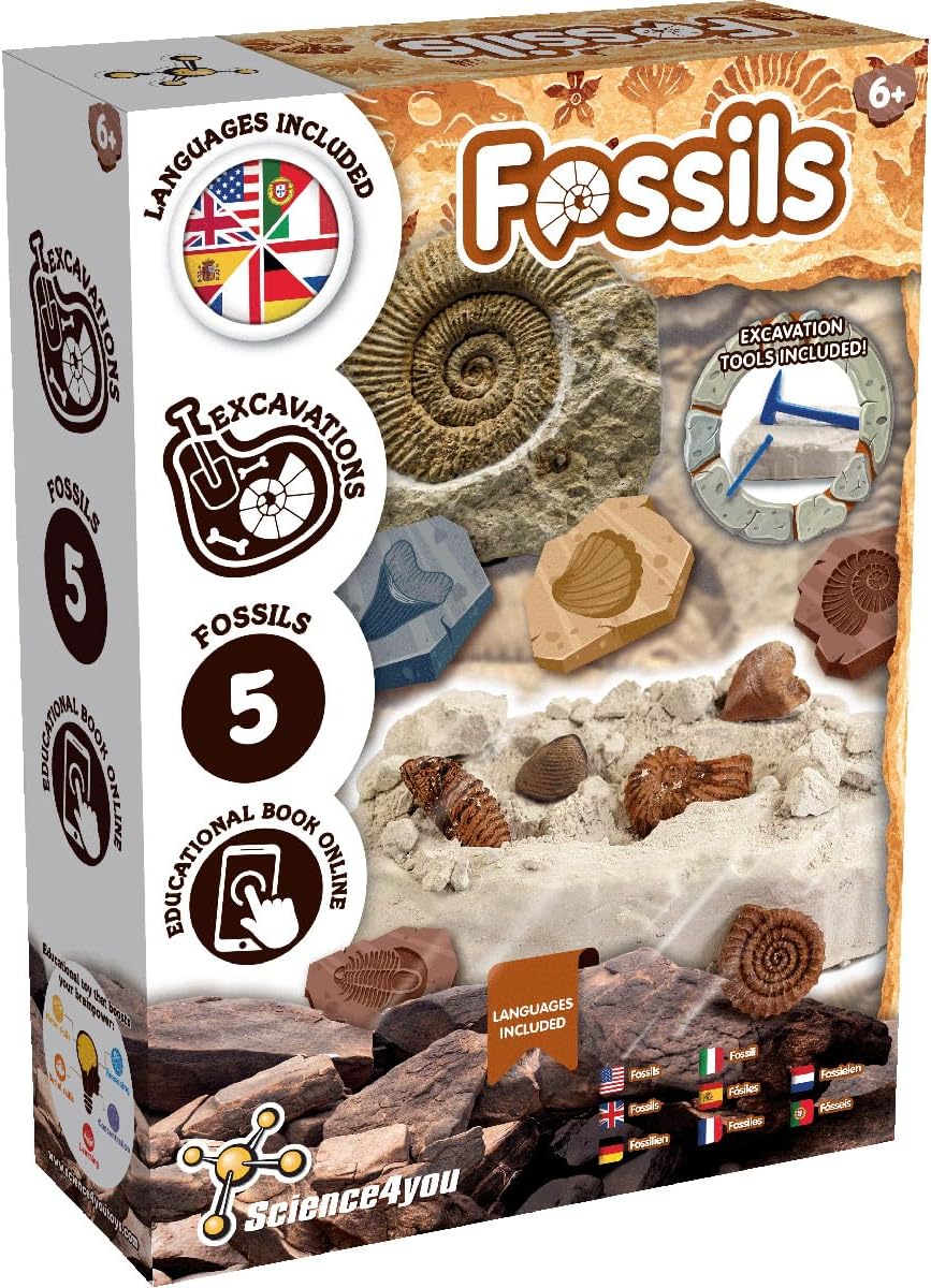 Science4you Fossil Dig Kit for Kids Age 6+ – Learn about Paleontology with this Excavation Kit, Discover All the Incredible Fossils, A Paleontology & Educational Gift for Girls & Boys Age 6 7 8 9+