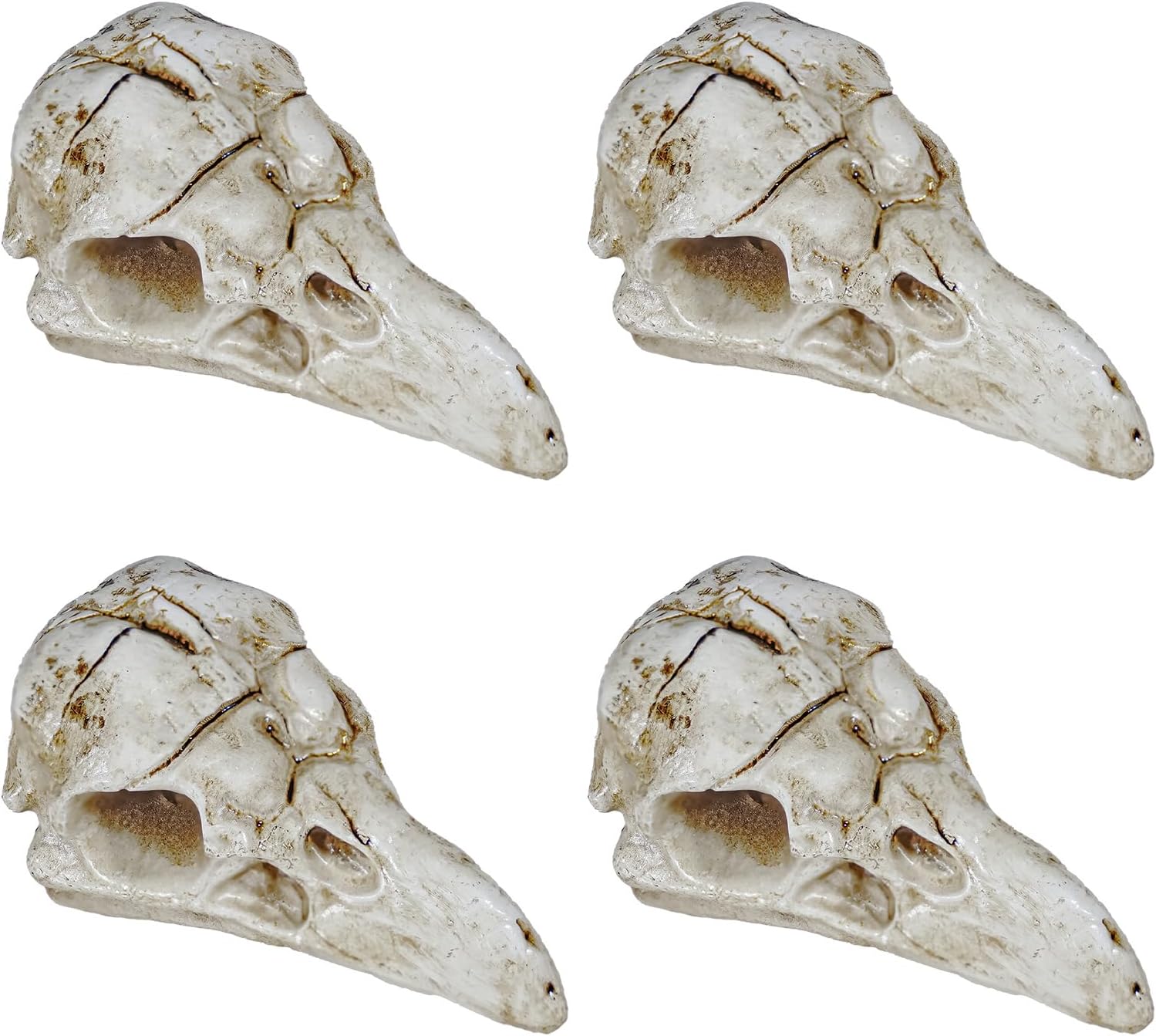 Bbiamsleep 4 Pcs Halloween Raven Skull Figurine Gothic Raven Animal Skulls Mini Resin Crow Skulls Ornament Decor for DIY Projects Gothic Halloween Skeleton Decor