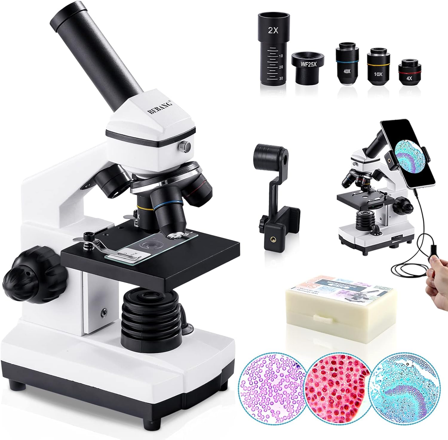 BEBANG 100X-2000X Microscope for Kids Adults, Professional Biological Microscope Kit for Students School Laboratory