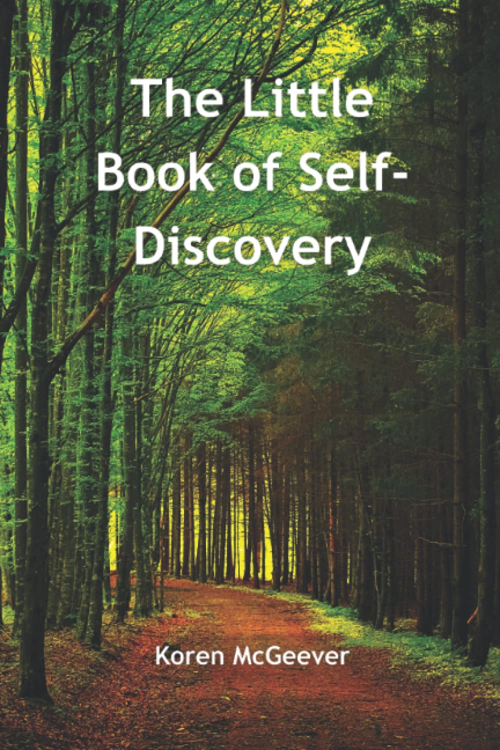 The Little Book of Self-Discovery: A guide for personal development - an interactive growth workbook from a person-centred perspective