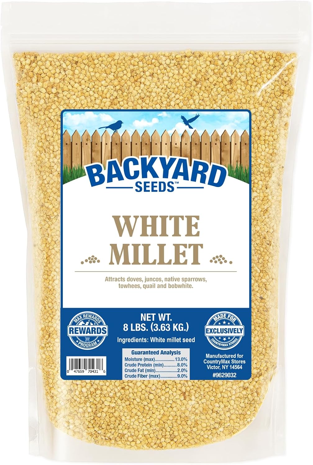 Backyard Seeds White Millet Bird Seed for Finches 8 Pounds (8 Pounds)
