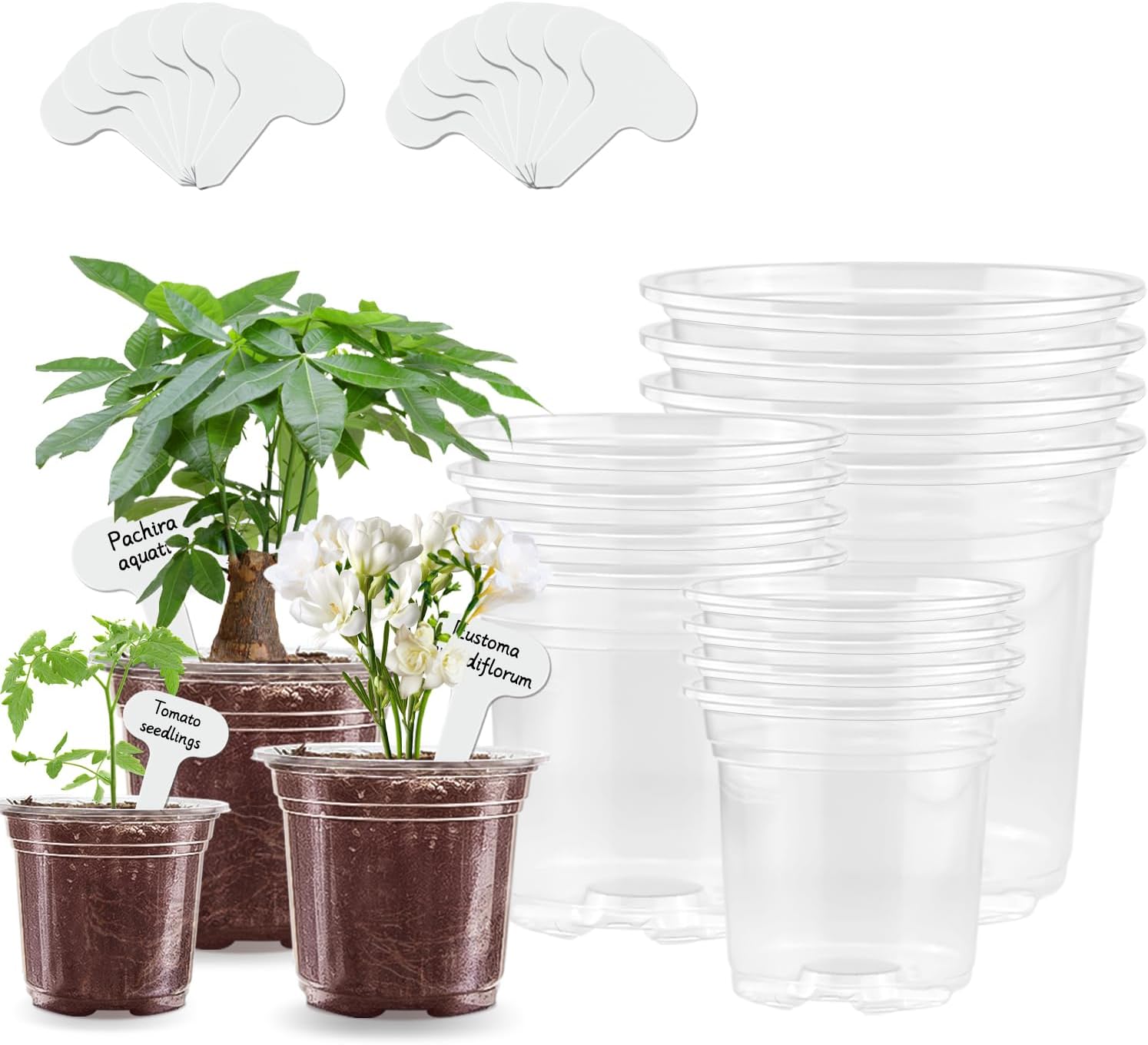 Clear Nursery Pots 5/4/3.5 Inch Plastic Planter with Drainage Holes, Small Starter Seed Starting Trays for Seedling with Bonus 15pcs Plant Labels(12pcs)