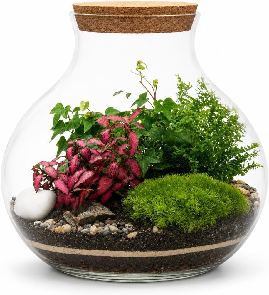 Terrarium Kit with Plants, H: 24 cm, Light Up Terrarium Kit for Adults, Beginner Friendly Terrarium with All Materials and Guide, Terranium (with Standard Lid)