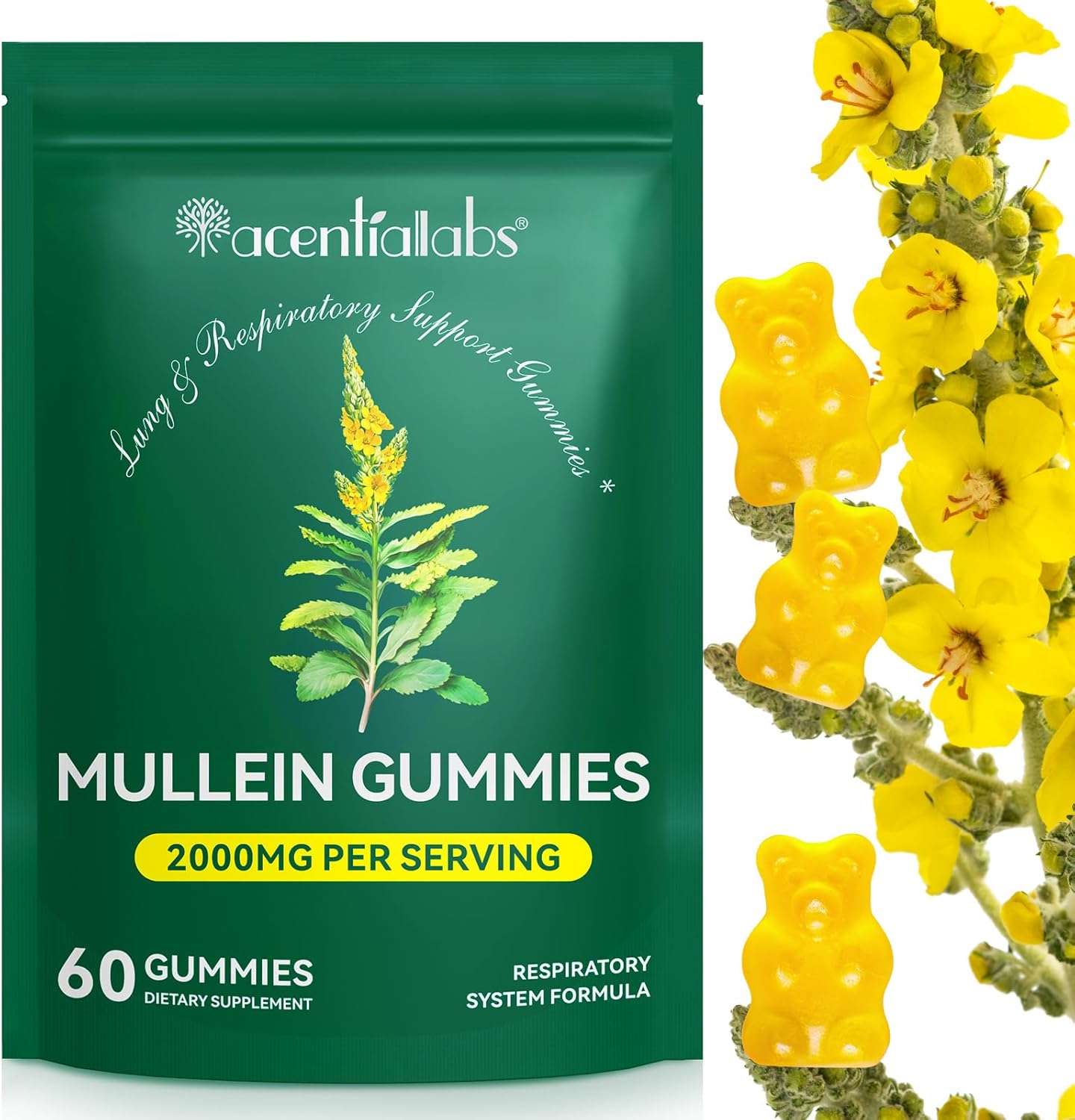 60 Count Mullein Gummies for Lung Cleanse, 2000mg Organic Mullein Leaf Extract for Lung Cleanse and Respiratory Support, Natural Mullein Herbal Supplement, Pear Flavor Gummies