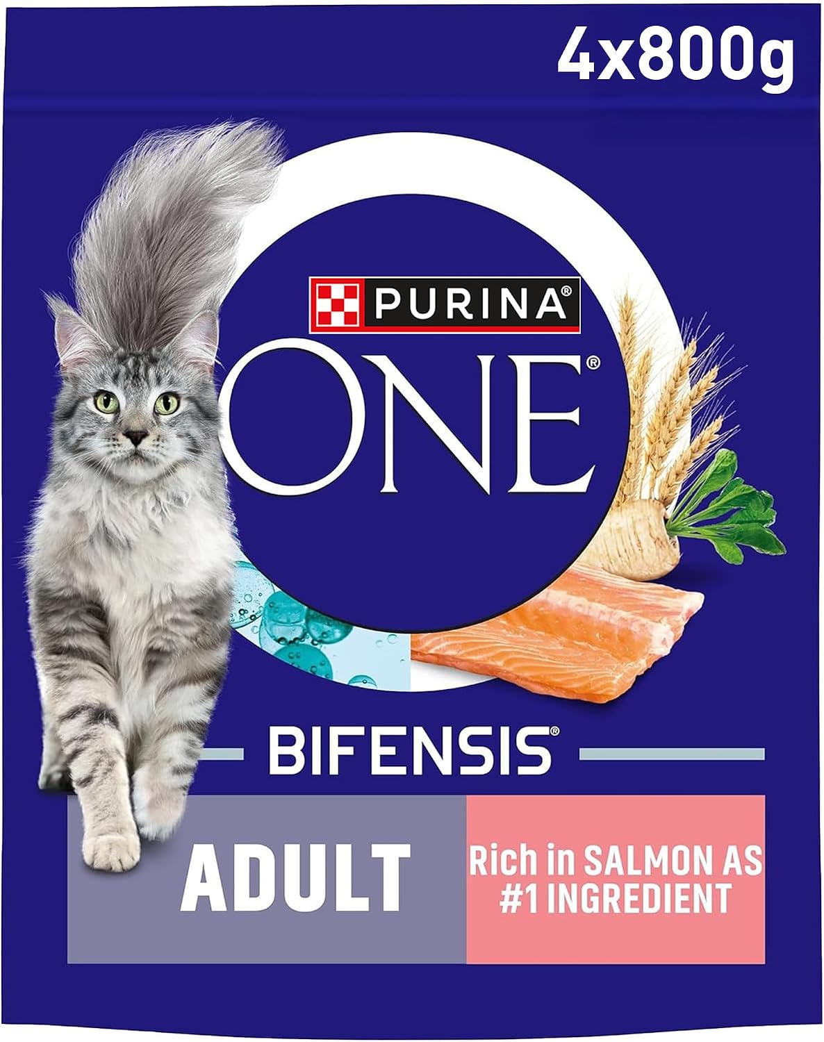 PURINA ONE Salmon Dry Cat Food 800g (Pack of 4)