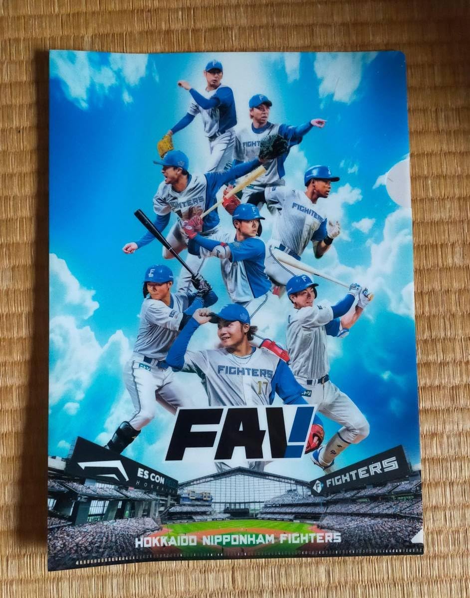 Nippon Ham Clear File FAV Limited Player Ito, Kiyomiya, Matsumoto, Manba, Uesawa, Miyanishi, Kato, Nomura