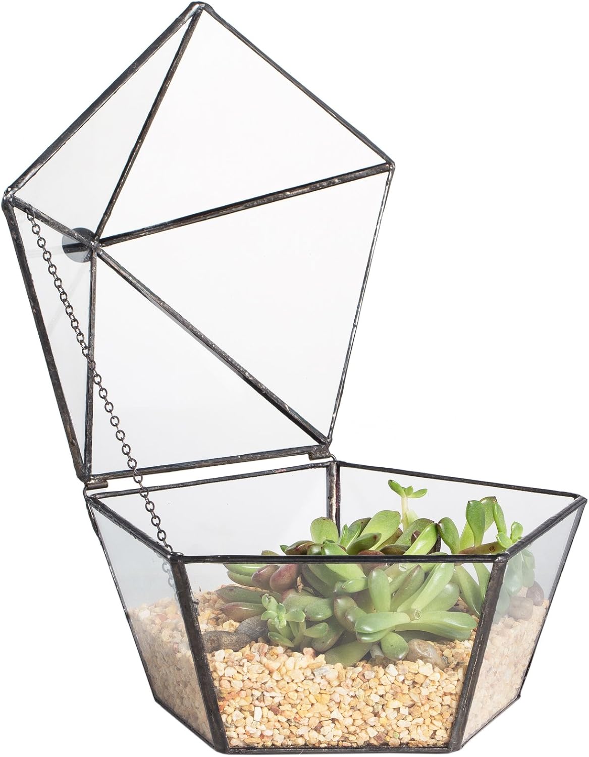 NCYP Modern Clear Glass Jewelry Box with Swing Lid, Geometric Pentagon Shape Terrarium for Succulent Fern, Garden Display Planter Tabletop Decor Centerpiece Container (NO Plants)
