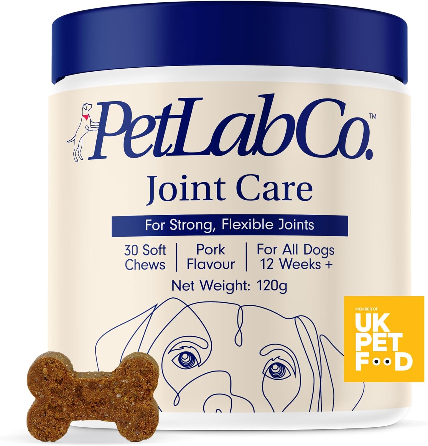 PetLab Co. Joint Care Chews – Daily Joint Supplements For Dogs - Help Promote An Active & Healthy Life - Rich In Glucosamine, Turmeric, Salmon Oil To Support Mobility & Healthy Joints