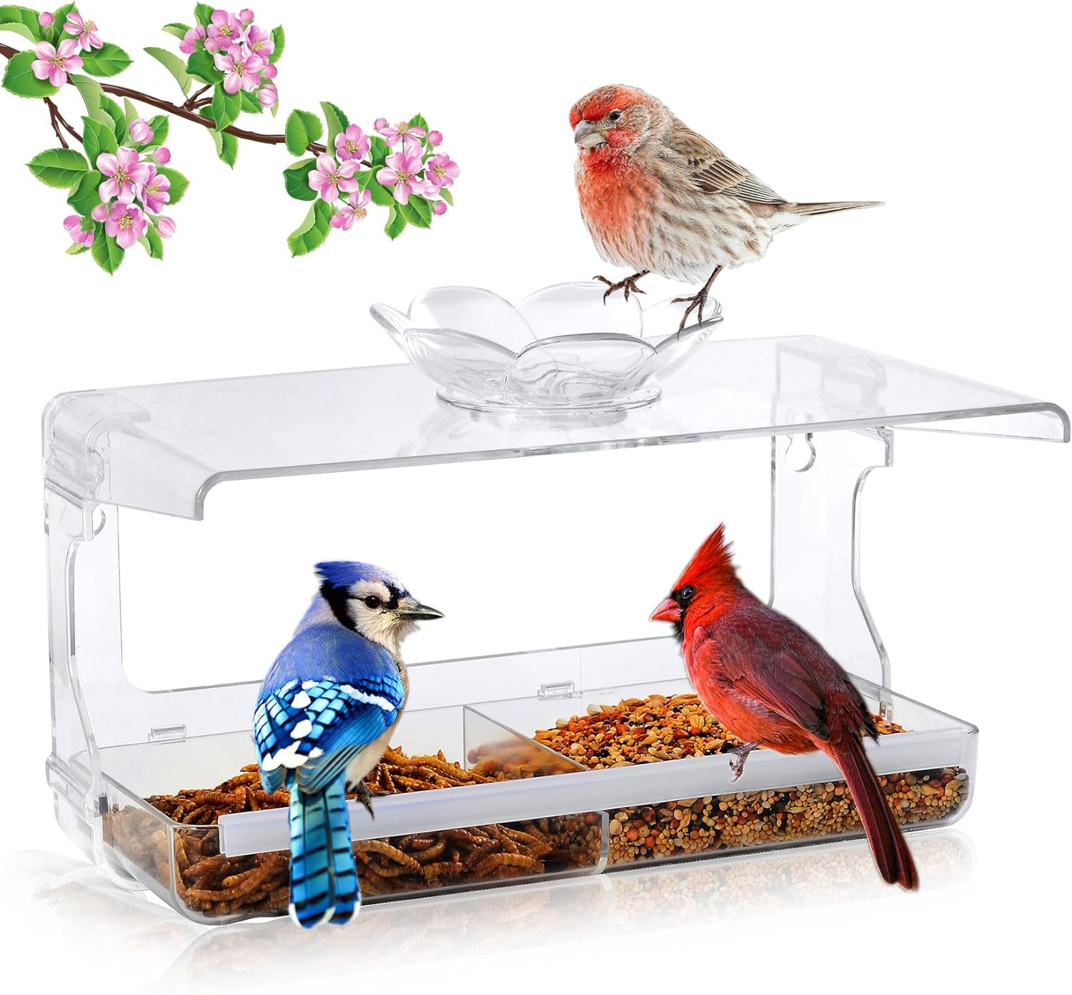 Window Bird Feeder with Non-Marking Self-Adhesive Hooks, Clear and Transparent, Outdoor Wild Bird Watching Gift, Garden Decor
