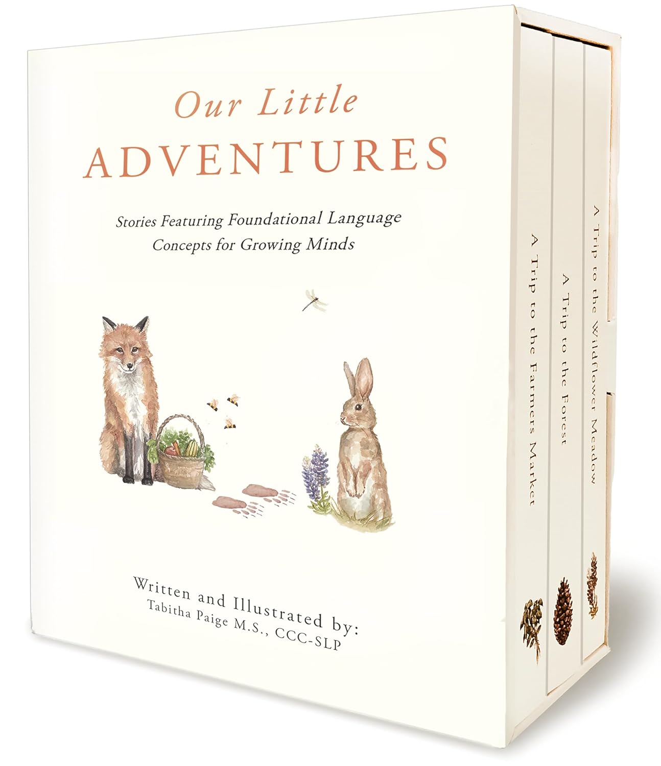 Our Little Adventures: Stories Featuring Foundational Language Concepts for Growing Minds (Tabitha Paige Children's Book Series)