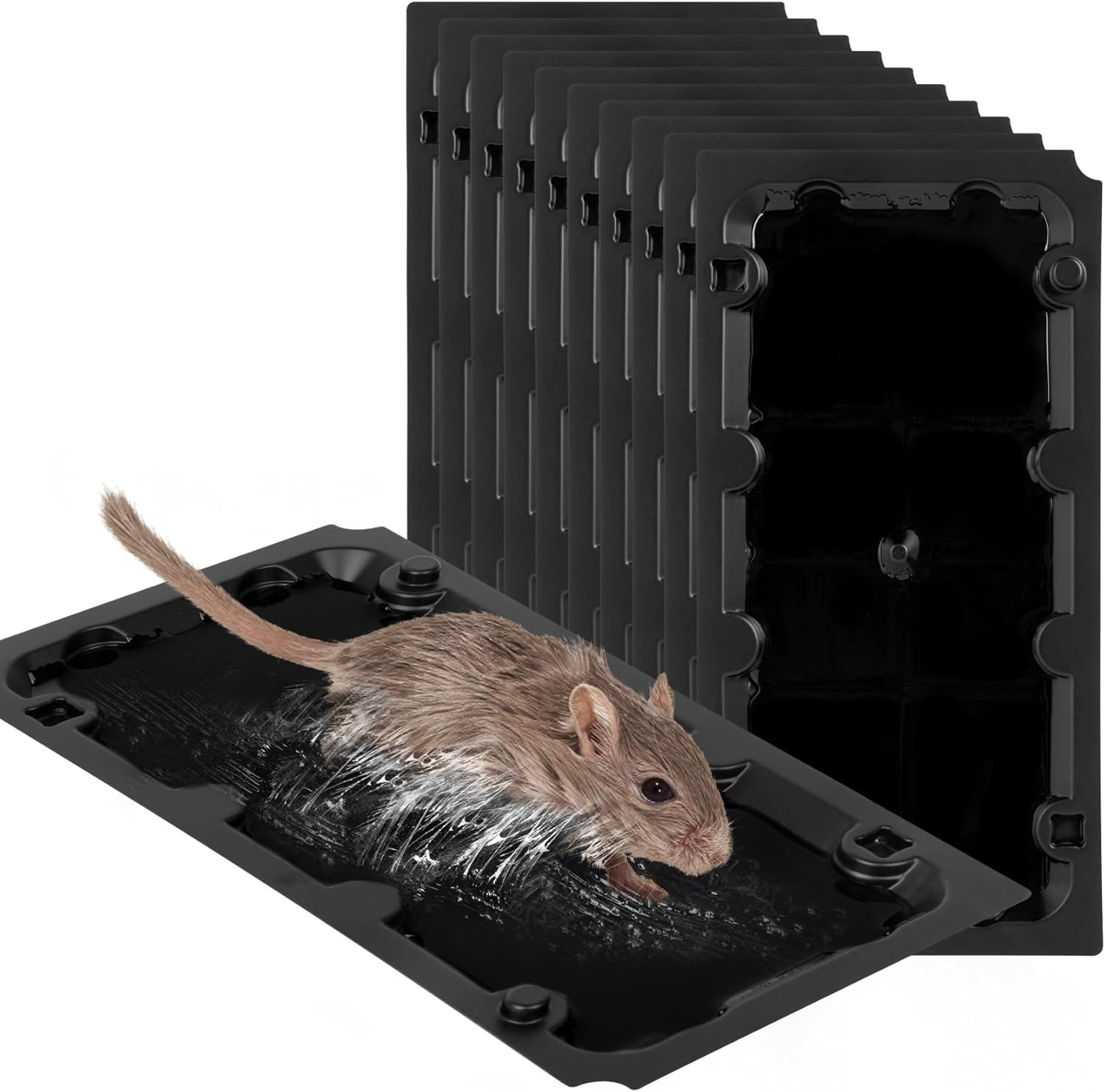 10 Pack Sticky Mouse Trap Rat Traps Indoor, Peanut Taste Pheromone Mouse Traps Indoor for Home