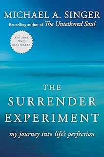 The Surrender Experiment: My Journey into Life's Perfection