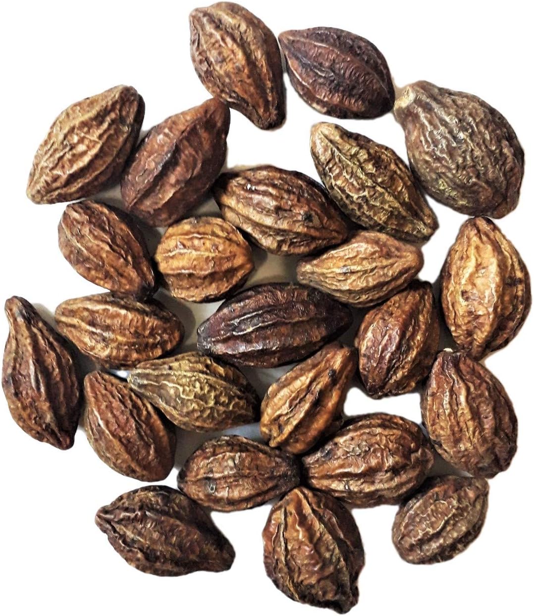 Dried Whole Haritaki 200g - Harad - Harre - Harde - Terminalia Chebula - Harda - Kadukkai - Karakkaya