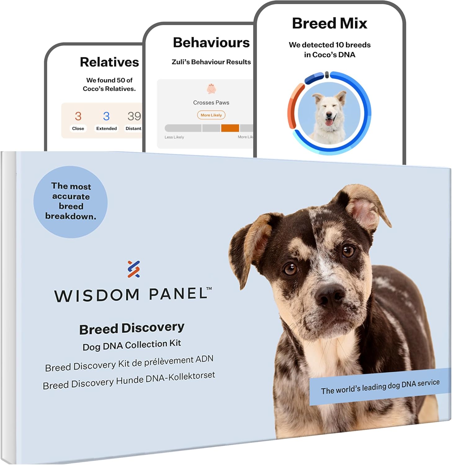 Wisdom Panel Breed Discovery Dog DNA Test Kit - Most Accurate Breed ID | Behaviours | MDR1 | Ancestry | Relatives