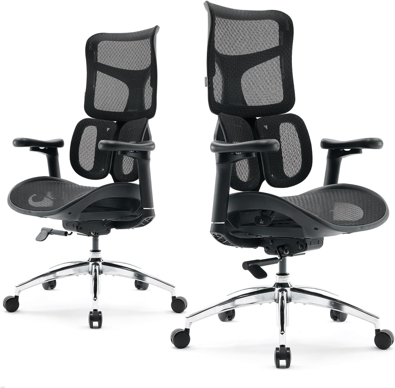 SIHOO Doro S100 Ergonomic Office Chair - with Dual Dynamic Lumbar Support, 5-Level Adjustable Backrest, 4D Coordinated Armrests, 135-degree Max. Recline Angle, Suitable for Home Office (S100 Black)