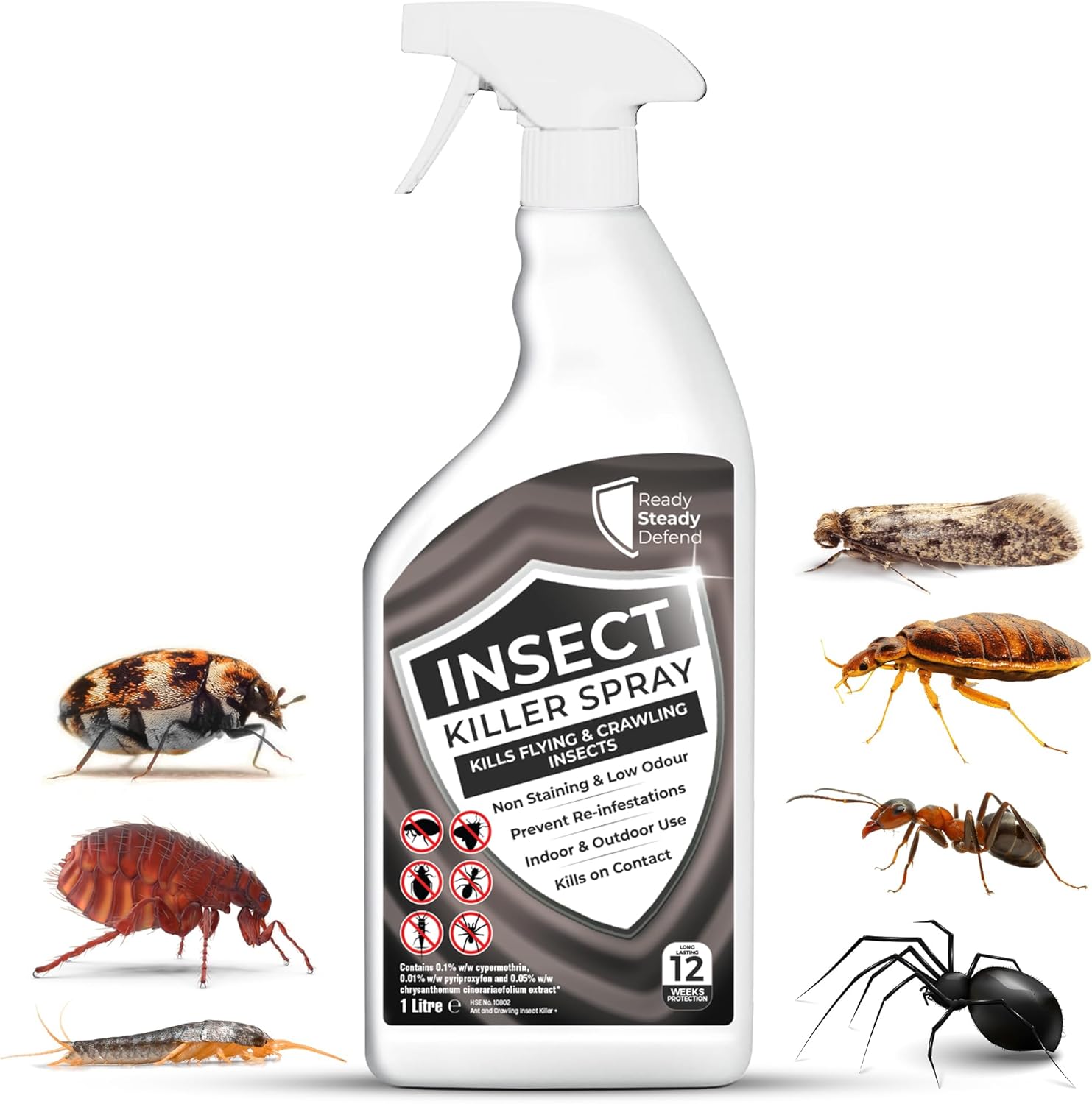 Insect Killer Spray 1L - Bed Bug, Flea, Moth, Fly, Spider, Ant Bug Spray Killer for Indoor Use, Fast-Acting, Long-Lasting Protection, Suitable for All Insects, Effective Cockroach Treatment