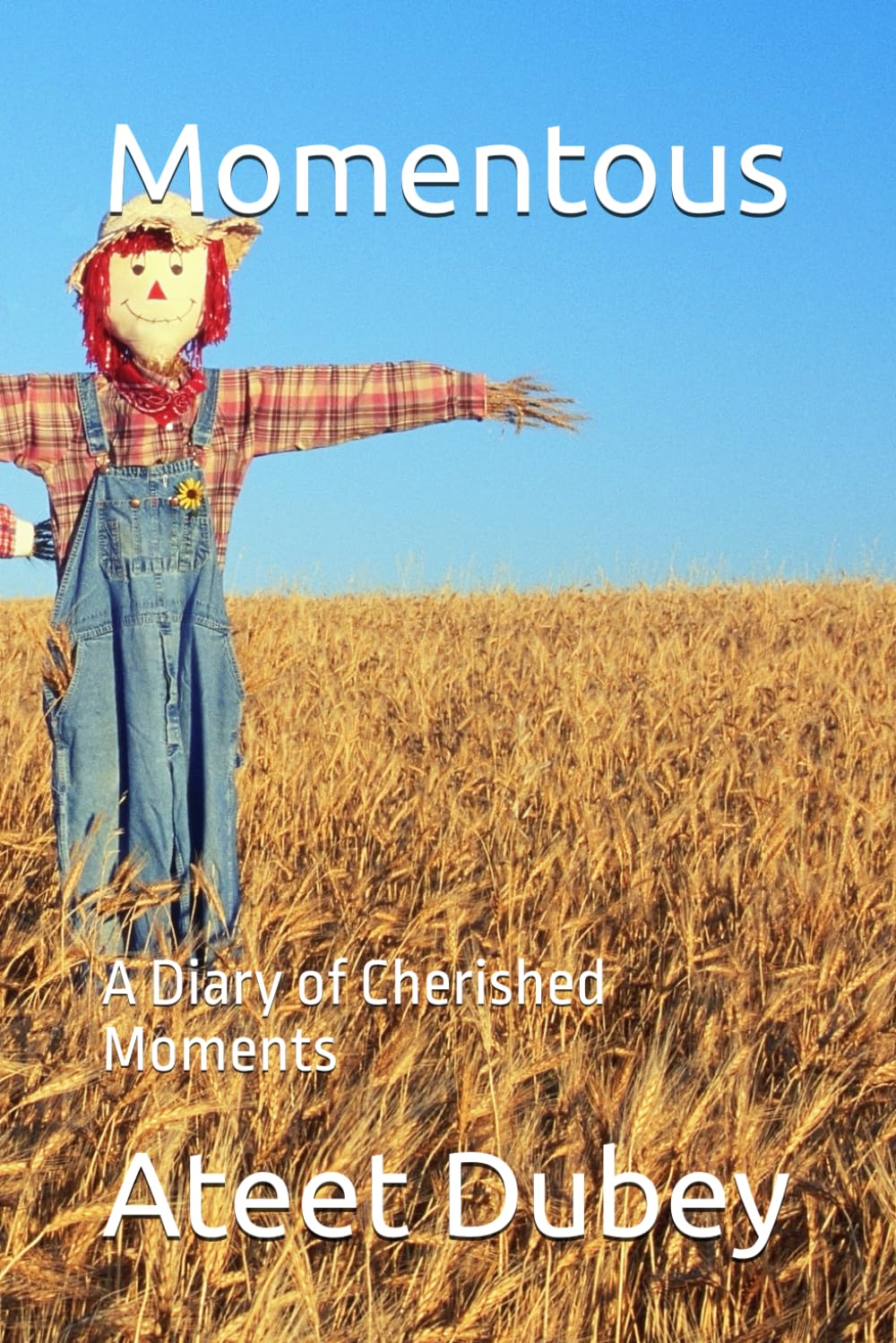 Momentous: A Diary of Cherished Moments