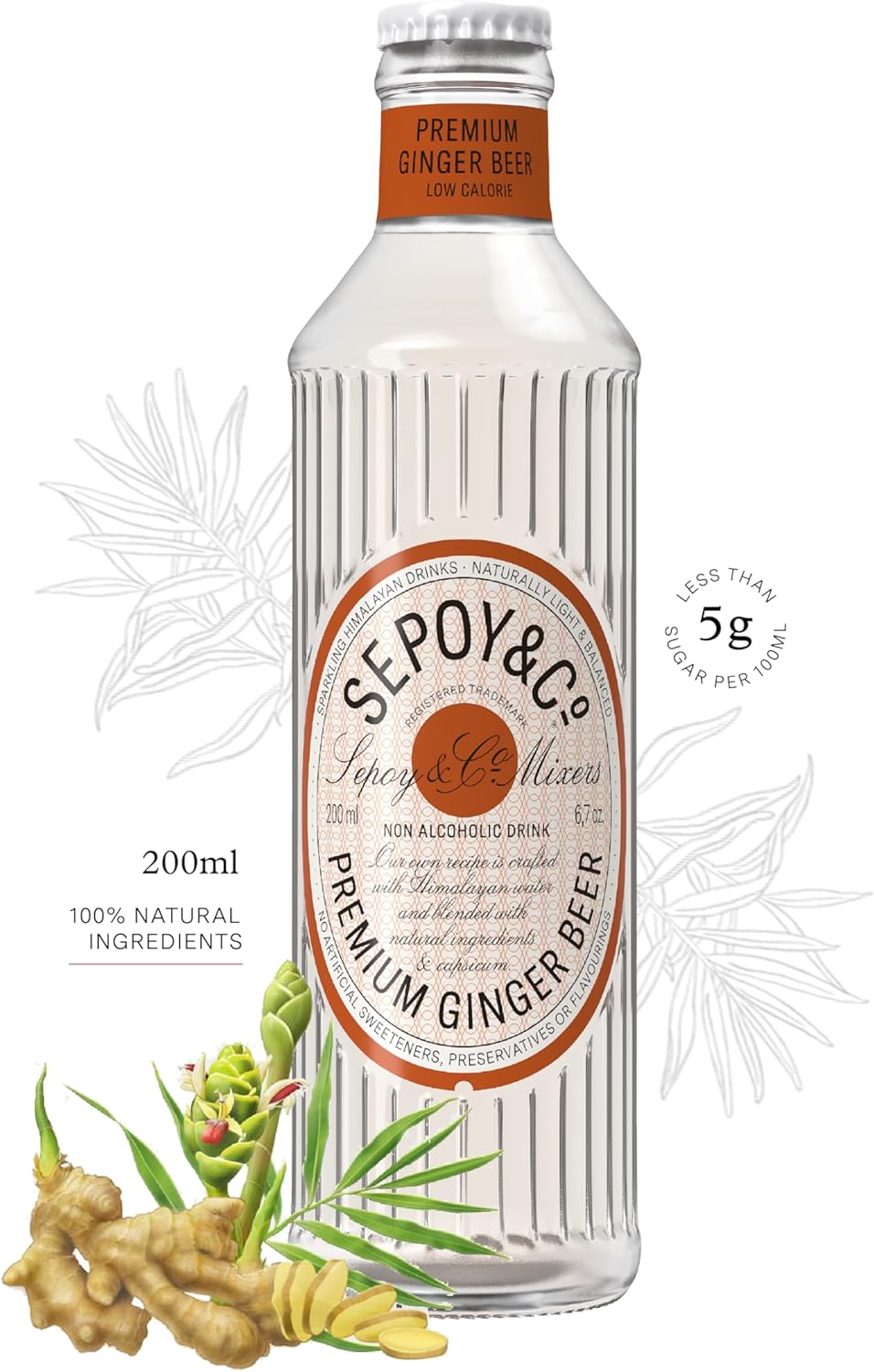 SEPOY & CO Premium Ginger Beer - 200ml (Pack of 12) | Premium Ginger Ale | Low Calorie | Sparkling Himalayan Drink | 100% Natural Ingredients (Pack of 12)