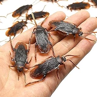 Ksquares Prank Fake Roaches, Favorite Trick Joke Toys Look Real, Scary Insects Realistic Plastic Bugs, Novelty Cockroach for Party, Christmas, Halloween (5)